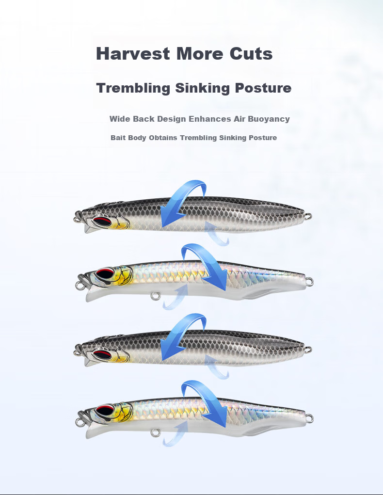 Guowangliya Lure, Qiao Ying Sinking Pencil Long-Casting Lure, Freshwater Popper Bait, Carp-Specific Killer Bait, 11g/LN04 13