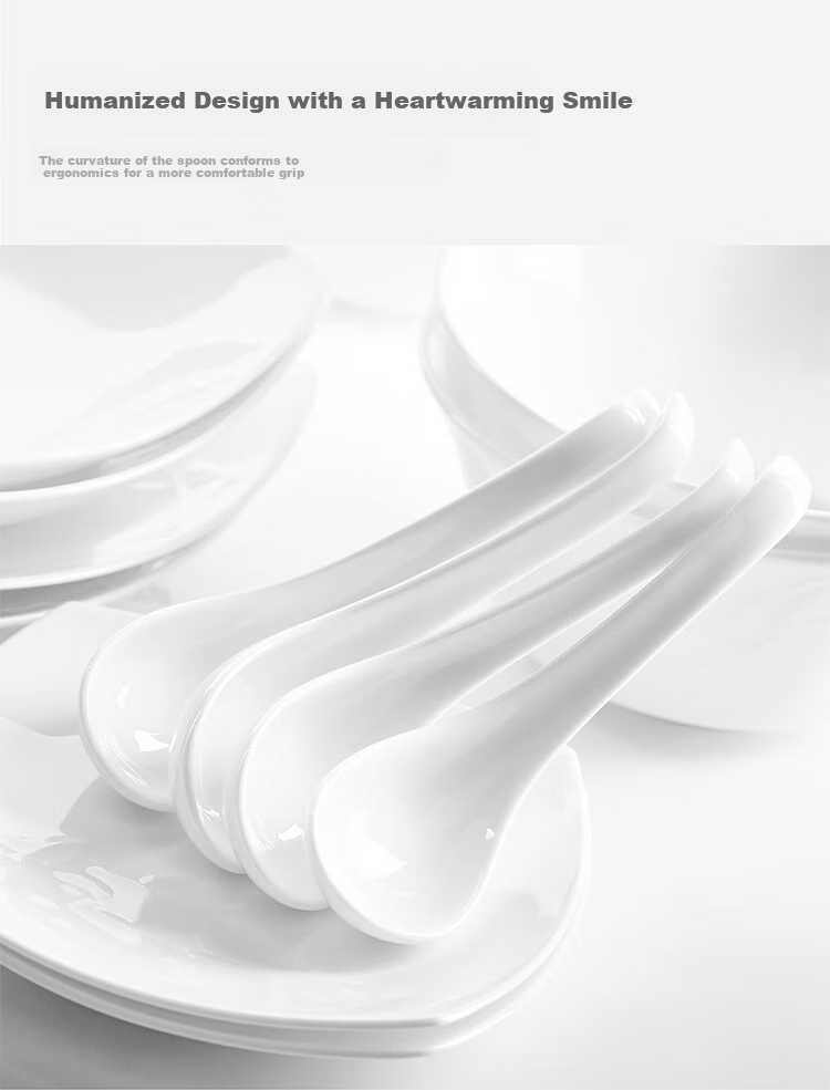 Magoront Ceramic Bone China Dinnerware Set White Embossed Magnolia 16-Piece 4-Person Gift Box 12