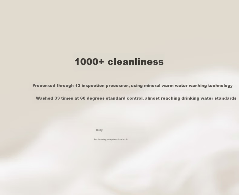 Interlagos Class A 90% White Goose Down Comforter, Imported from Japan, Air Conditioning Quilt, 280g, 200*230cm, White 18