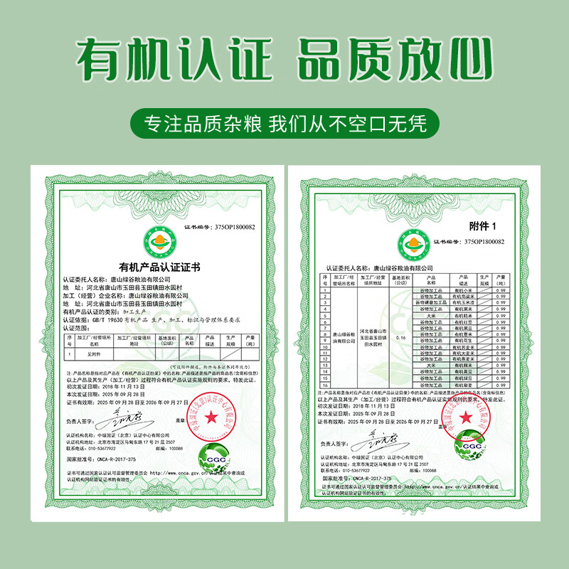 三顷粮 有机绿豆 五谷杂粮 东北粗粮 绿豆汤原料 罐装3斤