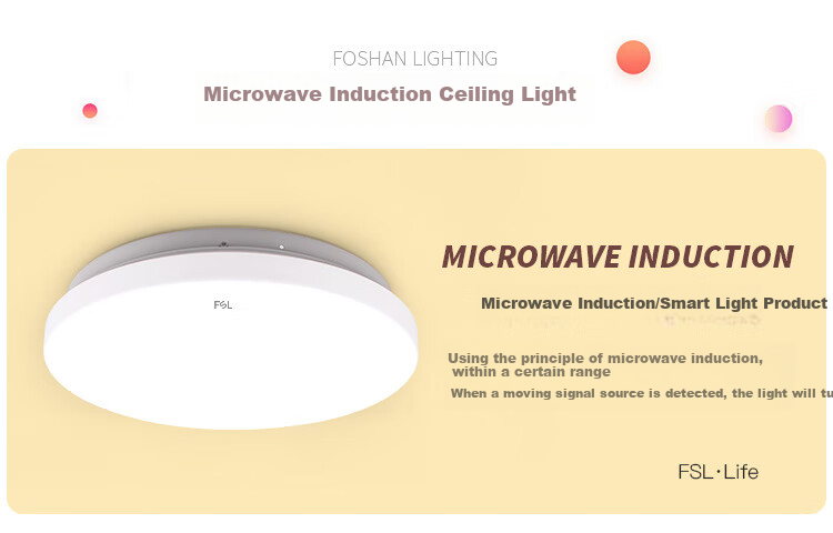 Foshanzhaoming LED Ceiling Light, Motion Sensor Hallway Corridor Light, Balcony Lamp, Entrance Lighting Fixture, 25W 1
