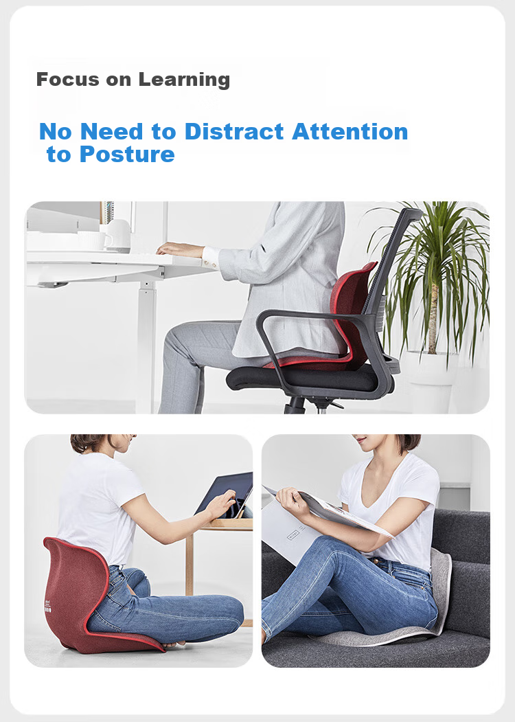 Leban Petal Lumbar Support Cushion, Office Chair Backrest, Buttocks Shaping Seat for Home Use, Classical Gray 16