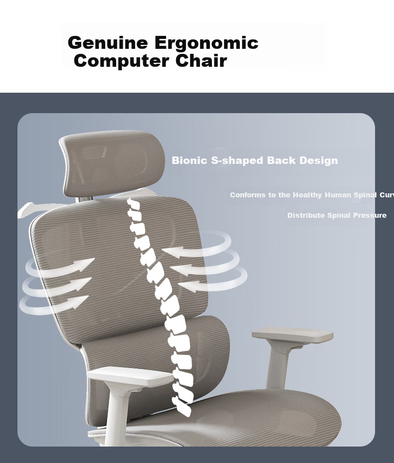 Qishengmingyuan LC-1895 Ergonomic Office Chair with Dual Backrest, Lumbar Support And Footrest for Computer Workstation And Gaming 5