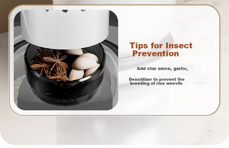 Jiabangshou Rice Container, 2026 New Model, Insect-Proof, Moisture-Proof Sealed Rice Storage Bin, Kitchen Utensil, Food-Grade Rice Bucket 10