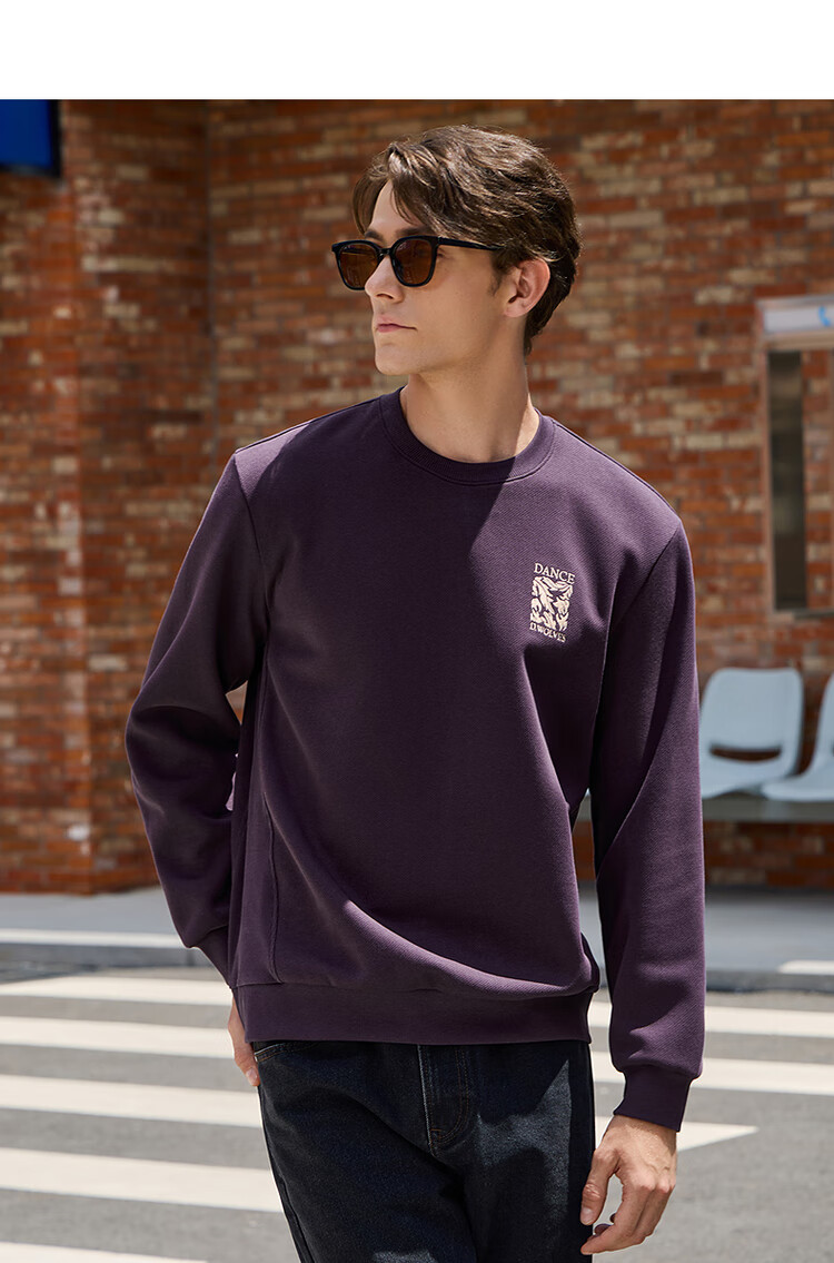 DANCING WOLVES [7A Antibacterial & Anti-Static] Exquisite Embroidery, Durable, Easy-Care, Skin-Friendly Comfortable Men's Sweatshirt, 503 Purple 8