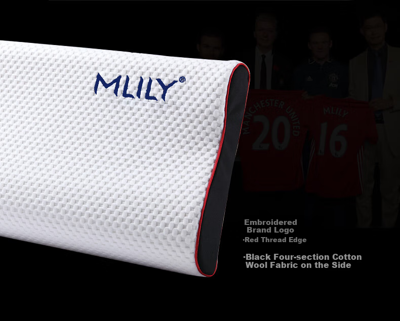 MLILY Slow Rebound Memory Foam Pillow Core Cervical Spine Sleep Adult Sleeping Manlian Care Pillow L 60*40*12cm 3