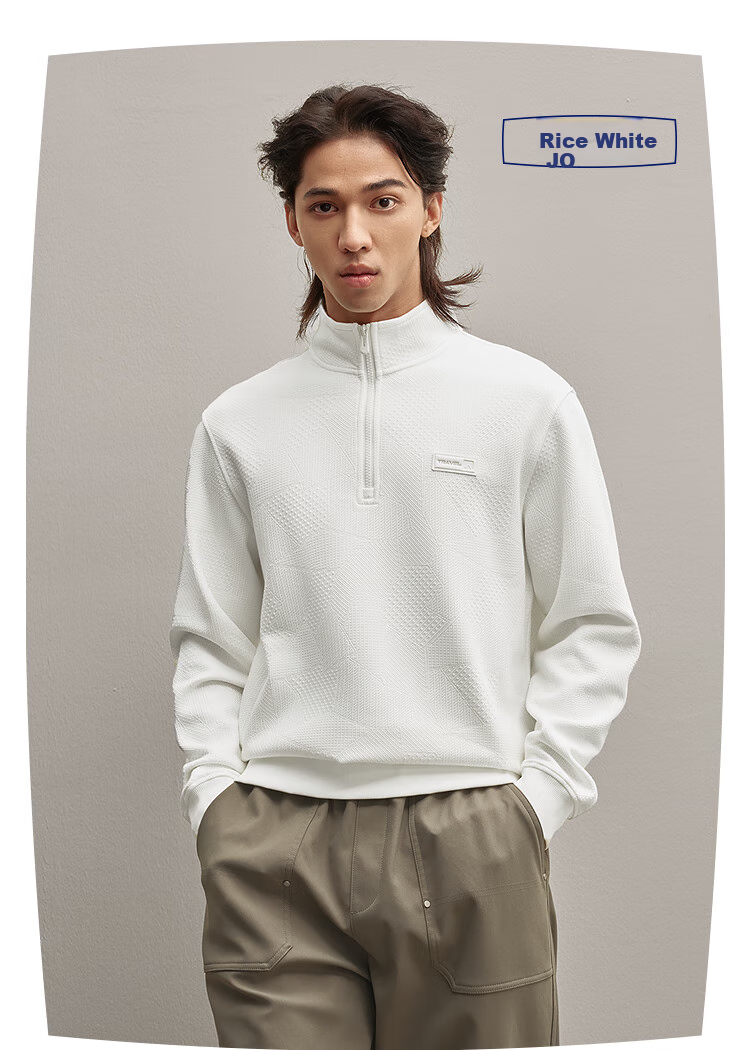 HLA Sweatshirt for Men, Zeng Shunxi's Style, Autumn Season, Irregular Texture, Stand-Up Collar, Long Sleeve, for Me 7