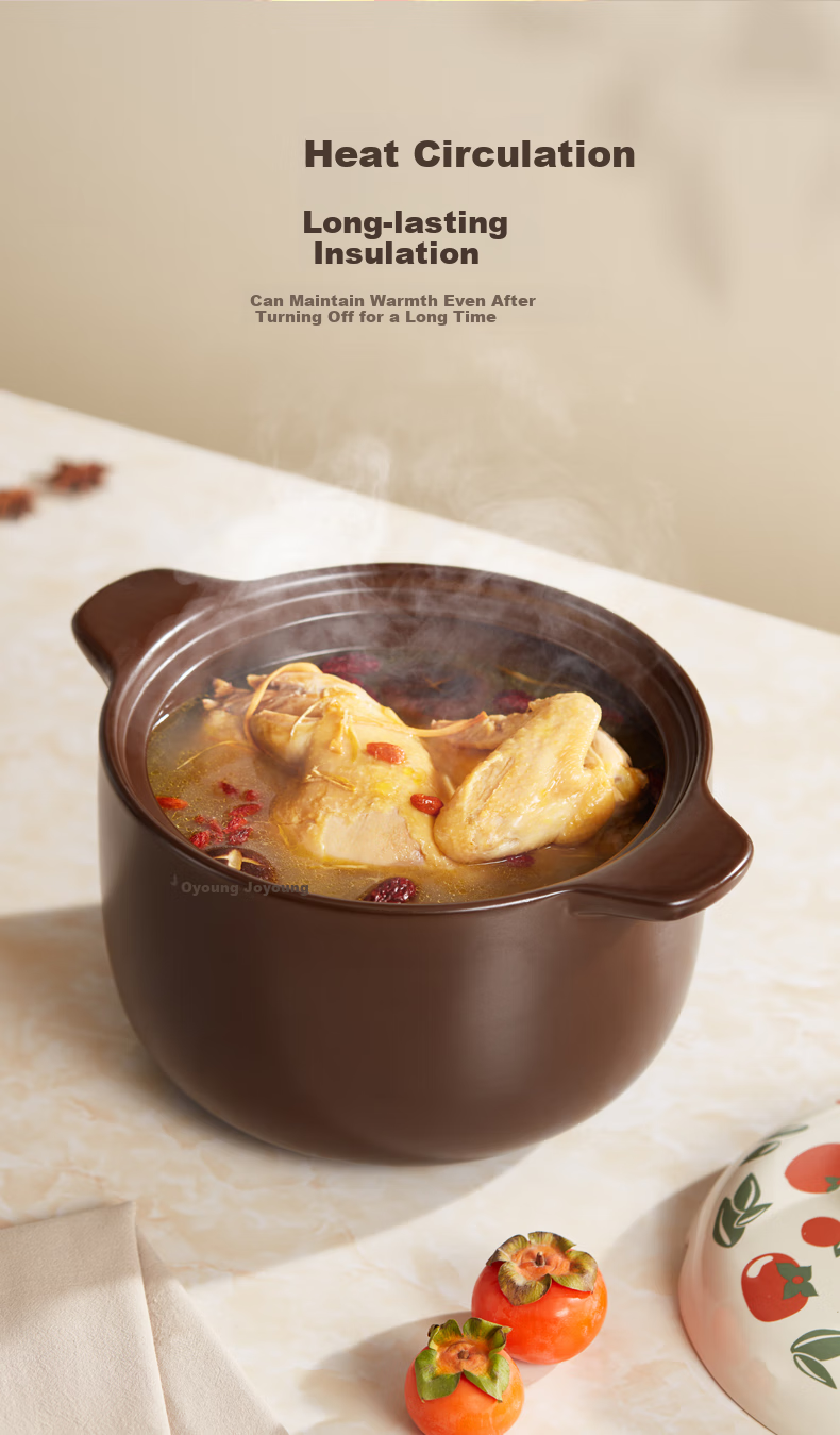 Joyoung Ceramic Casserole Pot, Soup Pot, Stew Pot, 5L High-Temperature Resistant Ceramic Pot for Soup Making, Clay Pot Rice, Medicinal Decoction And Cooking TCB5003 6