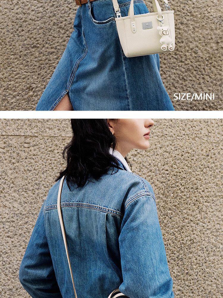 NUCELLE Pegasus Mini Tote Bag, New Light Luxury Niche Basket Handbag, Commuter Shoulder Crossbody Women's Bag Gift 17