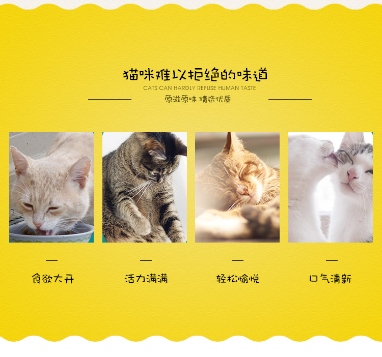 木天蓼洁齿棒_03.jpg