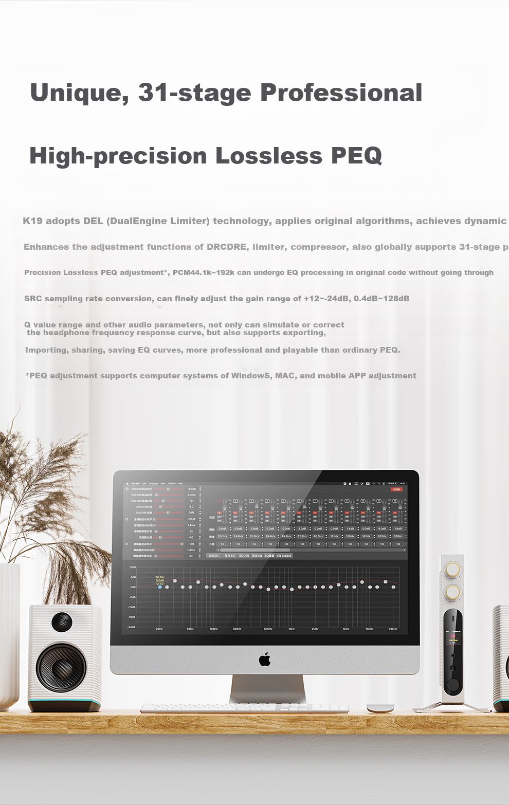 FiiO K19 Flagship Desktop Decoding Headphone Amplifier, DSD Decoding All-In Headphone Amplifier, HiFi Decoder, Silver Decoder 2