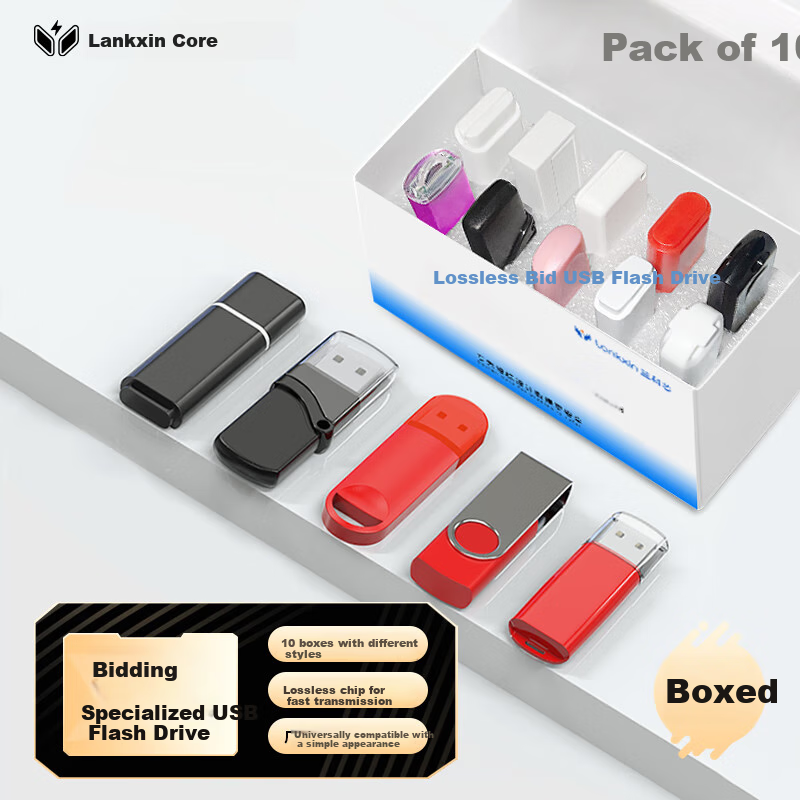 USB-флеш-накопитель Lankxin TB100, 2 ГБ, USB 2.0, профессиональный для тендеров, 10 шт.