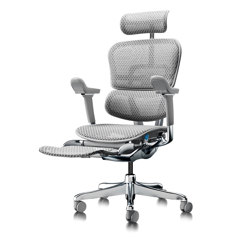 Ergonor Baoyou Jinhao E2 Pro Flagship Ergonomic Office Chair Computer Chair Silver White Mesh + Recliner Cushion