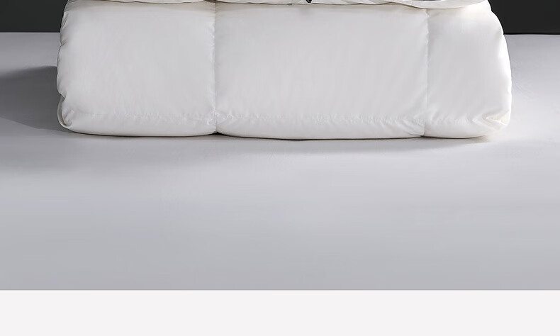 Mercury Home Textiles 95% White Goose Down Quilt Winter Thickened Warm Double Down Comforter 200×230cm-420g 34