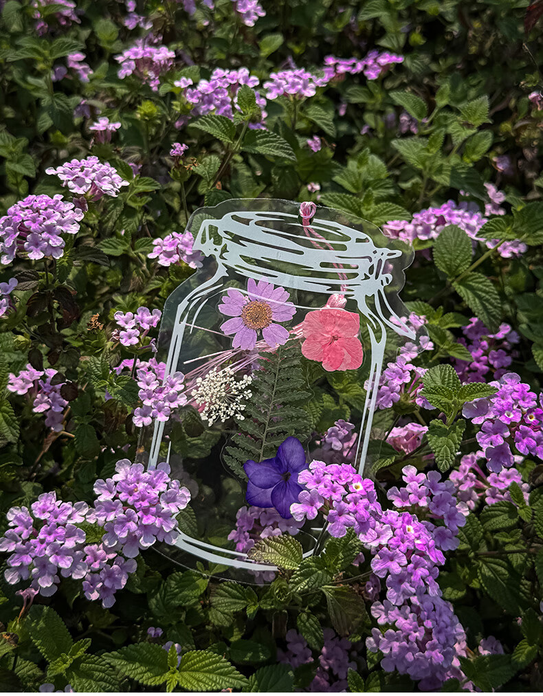 Tianse Transparent Dried Flower Bookmarks Handmade DIY Material Kit Leaf Specimen Laminated Plant Pressed Petals Back to School Set 20 Sheets TS-6132 32