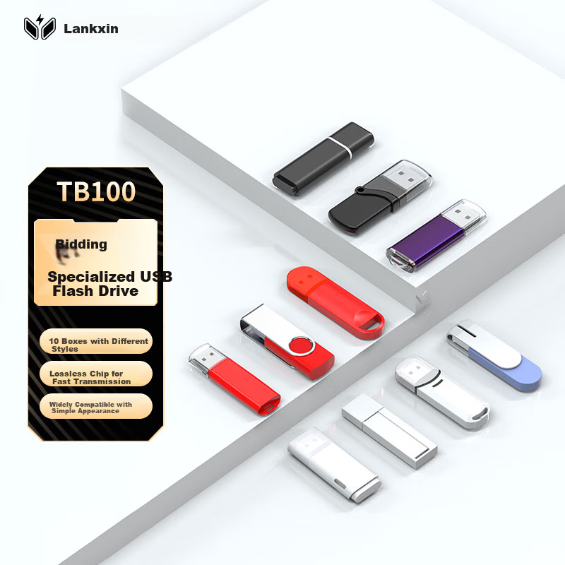 USB-флеш-накопитель Lankxin TB100, 2 ГБ, USB 2.0, профессиональный для тендеров, 10 шт.