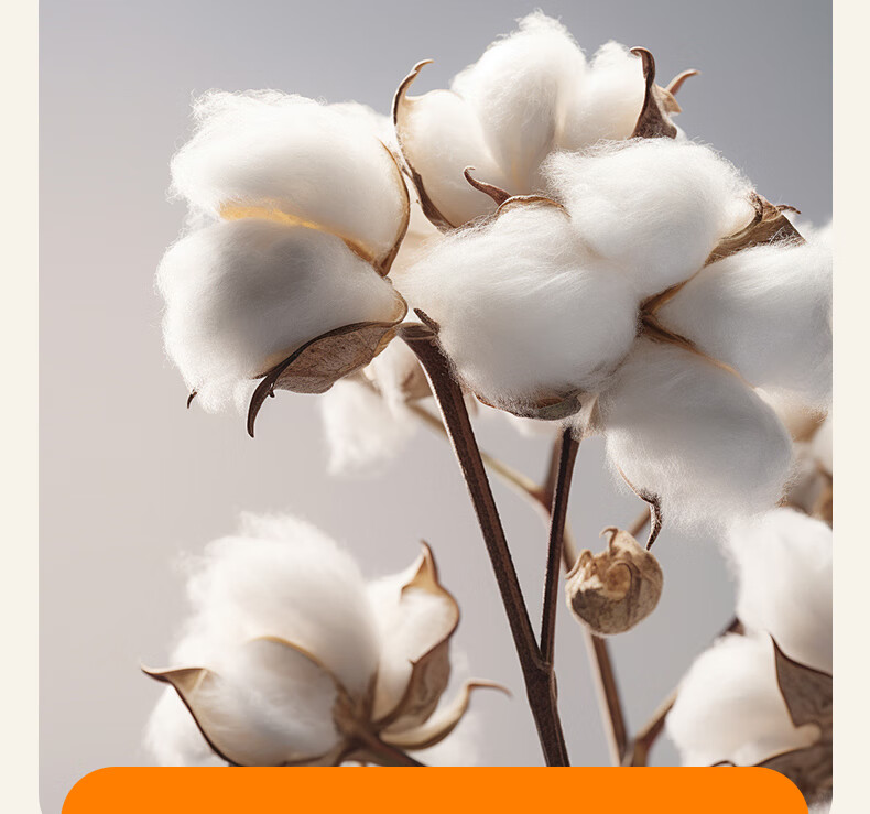 Hongdou Class A Antibacterial Xinjiang Cotton Quilt Air Conditioning Quilt Summer Quilt Spring and Autumn Cotton Four Seasons Quilt Core 2*2.3m 4 Jin Card 14