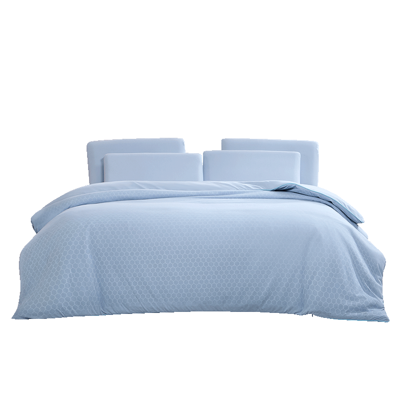 FUANNA × JDear JD.com Collaboration Deep Sleep Temperature-Control Winter Quilt PRO Class A Silk Quilt with Built-in Duvet Cover 220×240cm
