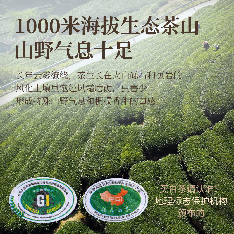 传奇会茶叶福鼎白茶寿眉散茶陈年老白茶礼盒装500g自己喝春节送礼年货