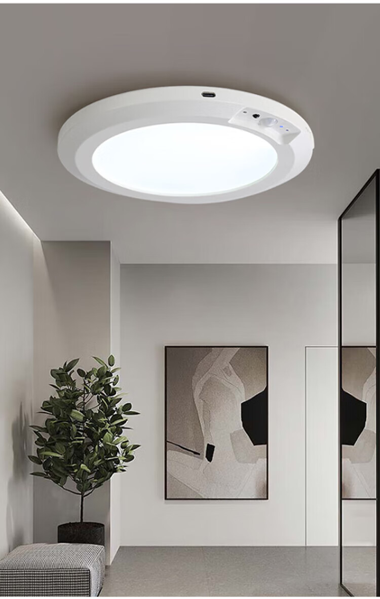 Gongtai LED Human Body Sensor Rechargeable Waterproof Ceiling Light Wireless Magnetic Installation Stairway Corridor Smart Light Three-Color Dimming GT-CDXD-24W 3