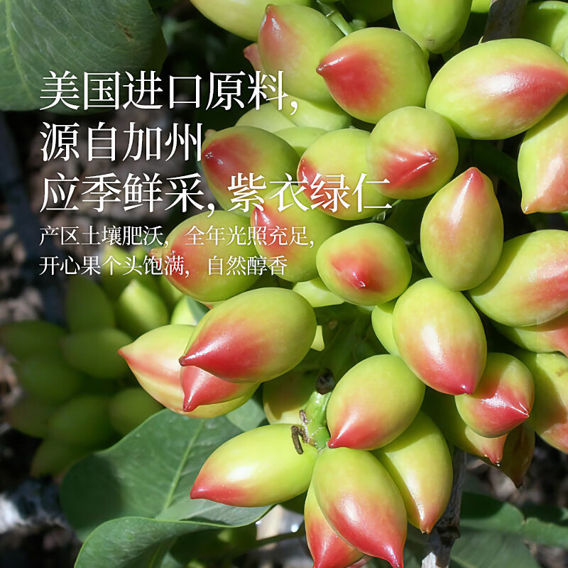 原尚工房 原色无漂白盐焗味开心果400g坚果炒货开心果年货零食每日坚果