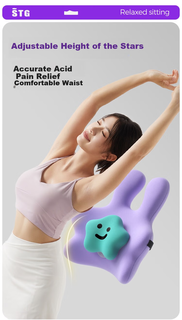 SITGOOD Lumbar Support Cushion, Office Back Pillow, STG Seat Pad, Long-Sitting Waist Protector, Mid-Autumn Festival Gift, Purple 3