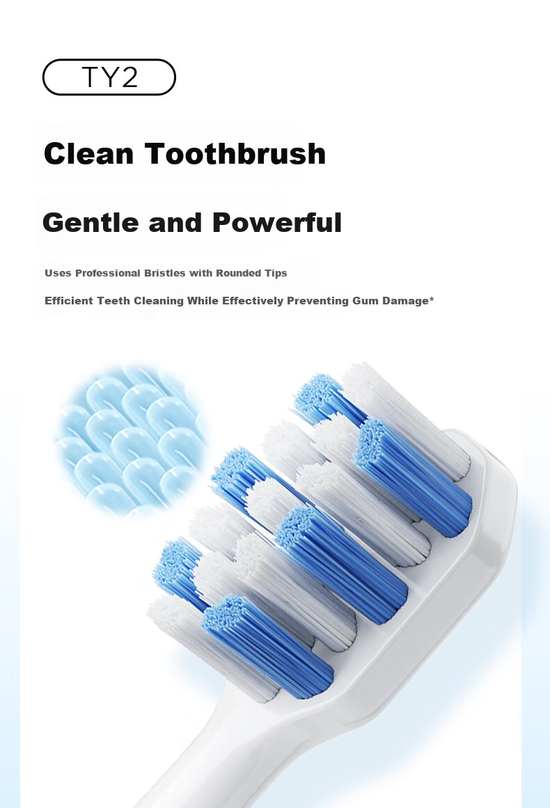 Midea Electric Toothbrush Heads TY2 Compatible with S1PX/MR1 New Version/S5/YS7/YM3/YM6pro/YM502, Brush Heads*2 6