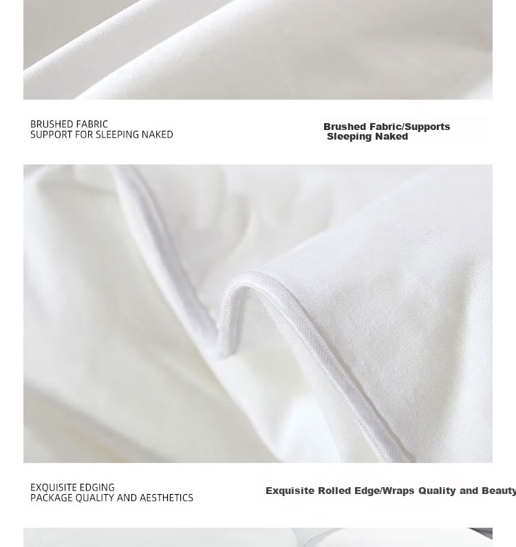 Yuanshenghuo Spring And Autumn Comforter, Class A 30% Soybean Filling, Double Size, All-Season Quilt, Approximately 5 Jin (2.5 Kg), 220x240cm, White 9