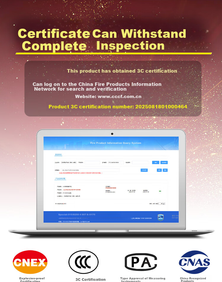 Aikesi Combustible Gas Detector Alarm, Methane Natural And Liquefied Gas, Restaurant Kitchen Commercial Use Detection Instrument GT-GND20 2
