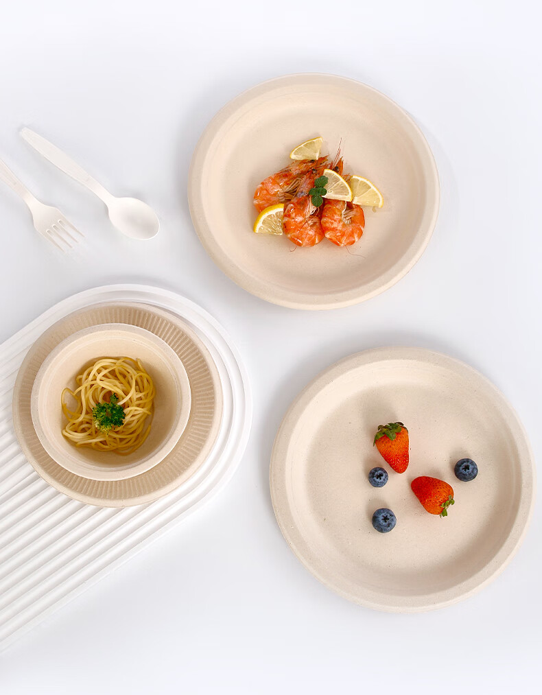 LANZIRAN Disposable Tableware Plates Large Size 9 Inch * 20 Pieces Natural Color Sugarcane Pulp Biodegradable Paper Plates for Picnic And Camping 13