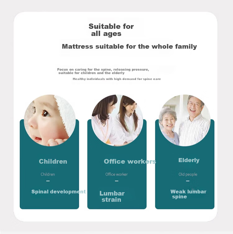 Jingcai Mattress JC316 Model, Coconut Palm Fiber Mattress, Foldable, for 1.8m Double Bed, Thin Mattress, 1.8*2 Meters, Firm Coir Mat 3