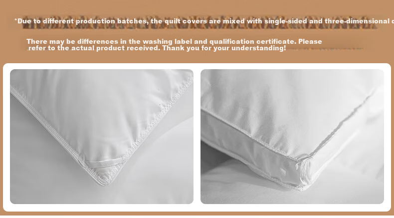 Wuyinliangpin 100% White Goose Down Comforter, Feather And down Duvet Winter Quilt Approximately 8 Jin [Filling 2800g] 200*230cm White 1