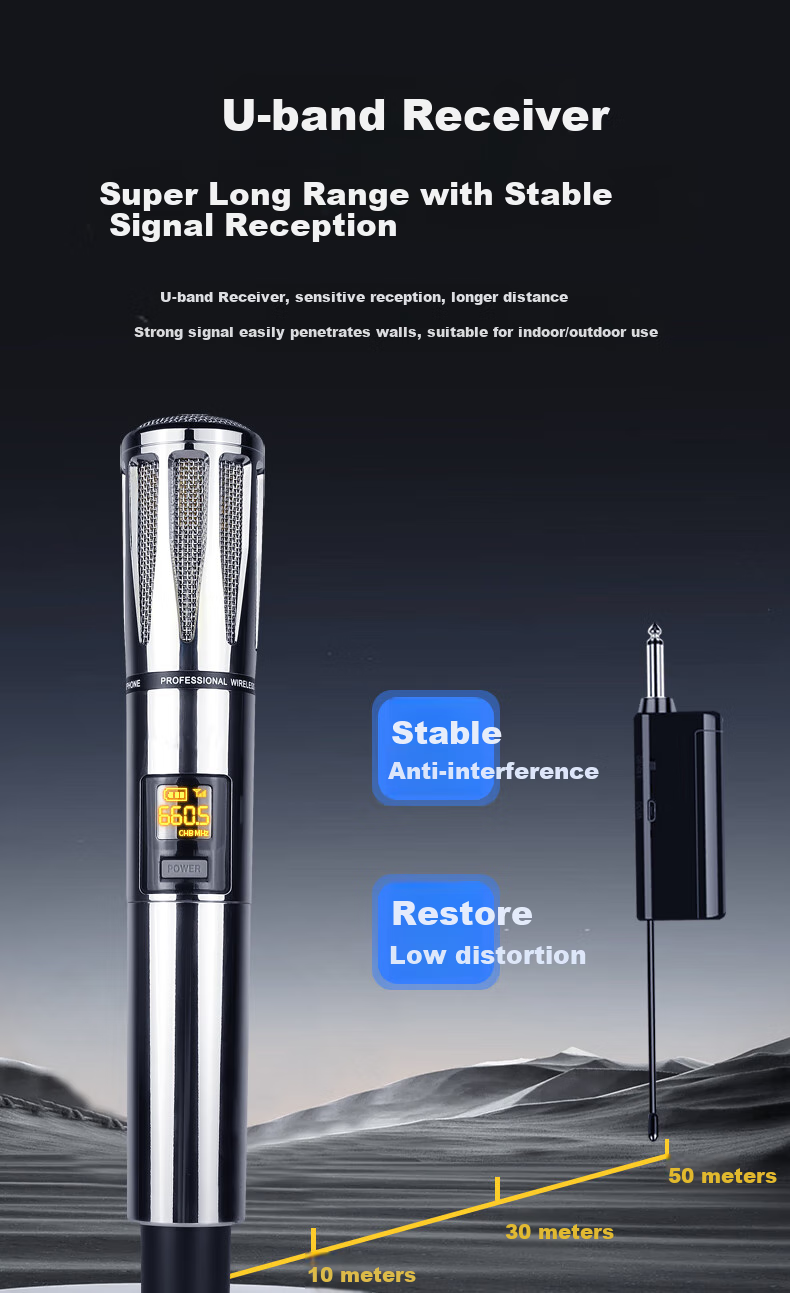 Haomuren Wireless Microphone System for Home KTV Singing, Stage Hosting, Meetings, Speeches, Outdoor Karaoke, TV Sound System with Anti-Howling Metal Design, Rechargeable Professional All-In Dual-Channel 11