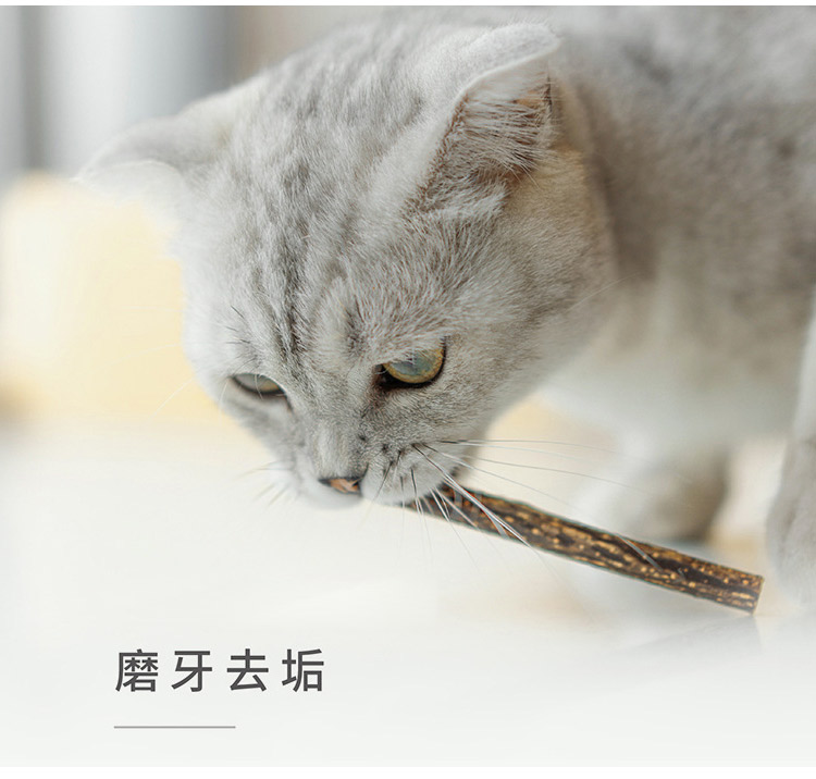 木天蓼洁齿棒_08.jpg