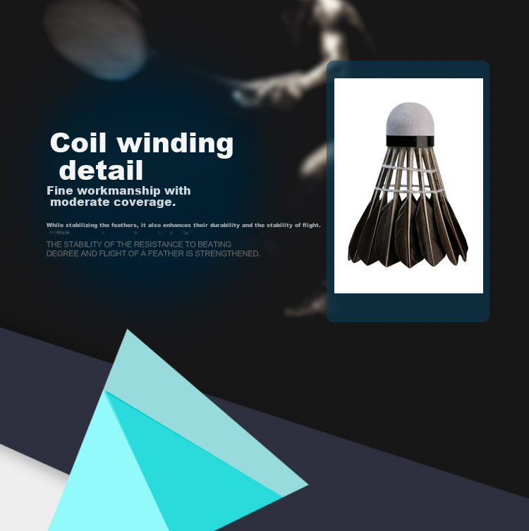 Amusi Badminton Shuttlecocks, Durable, Black Goose Feather, for Competition And Training, 1 Tube of 12 5