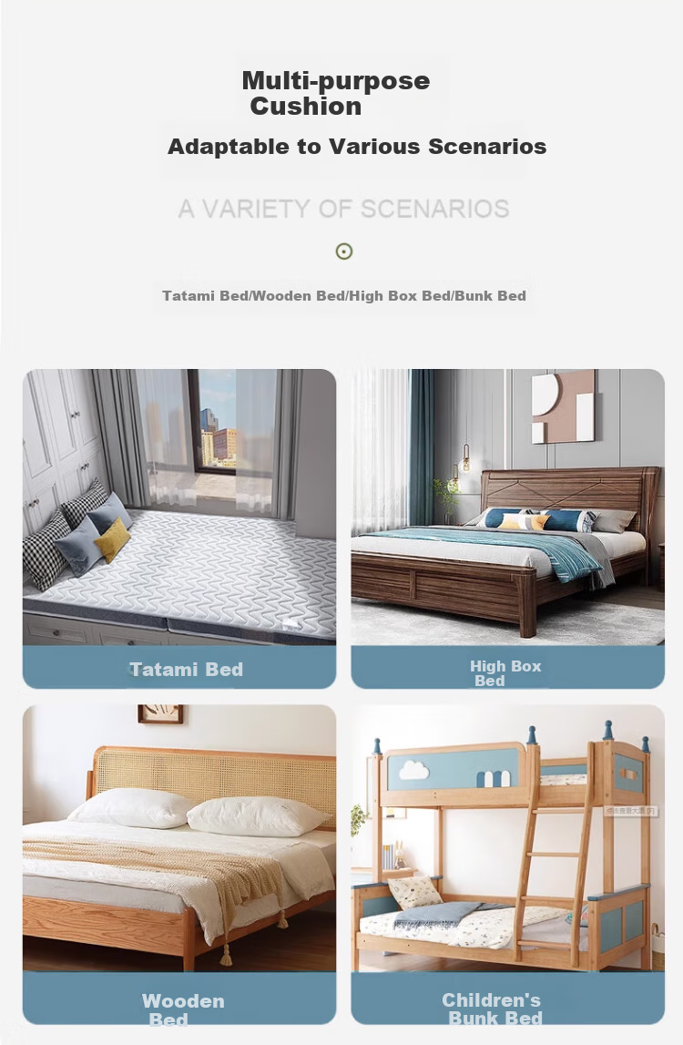 Jingcai Mattress JC316 Model, Coconut Palm Fiber Mattress, Foldable, for 1.8m Double Bed, Thin Mattress, 1.8*2 Meters, Firm Coir Mat 4