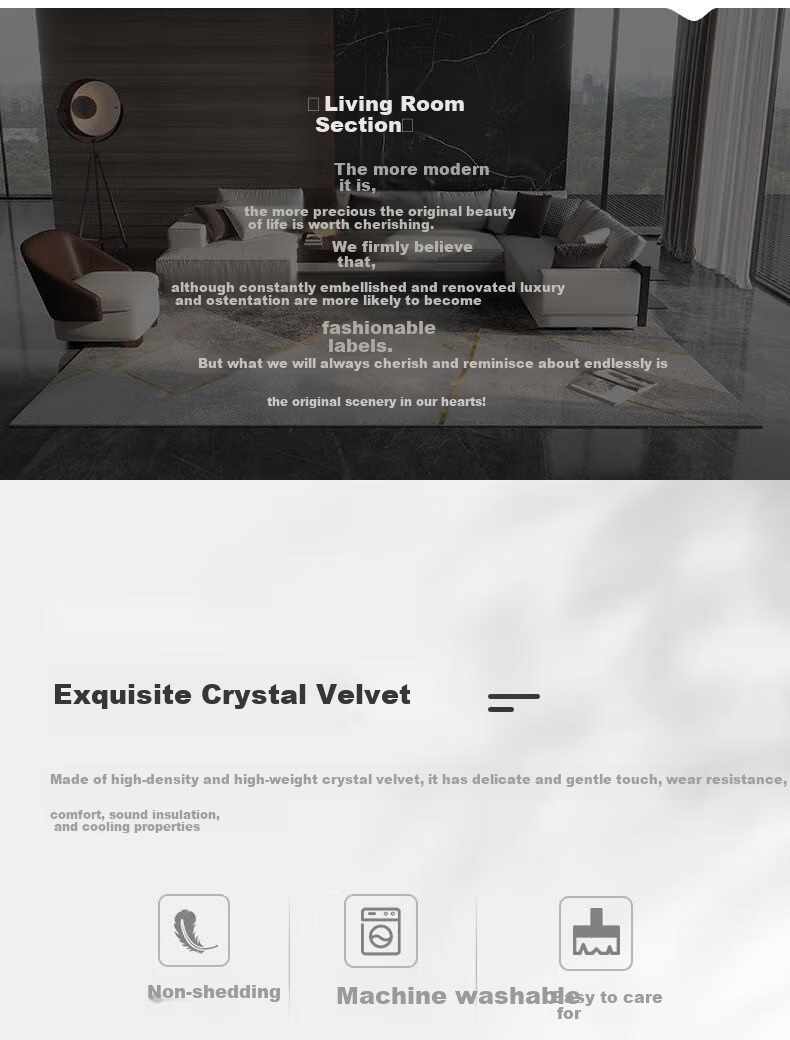 Qimian Crystal Velvet Living Room Carpet, Skin-Friendly Comfortable Dirt-Resistant Non-Slip, Kate, Modern Minimalist, 200*300cm 5