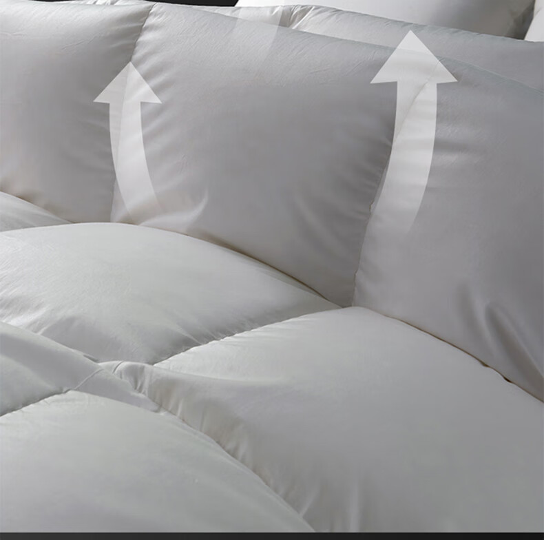 Wuyinliangpin 100% White Goose Down Comforter, Feather And down Duvet Winter Quilt Approximately 8 Jin [Filling 2800g] 200*230cm White 13