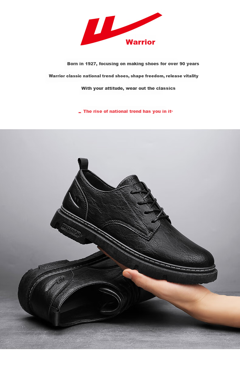 Huili (Warrior) Men's Shoes, Business Casual Footwear, Versatile Lace-Up Leather Shoes for Men, Style 0650, Black, Size 40 2