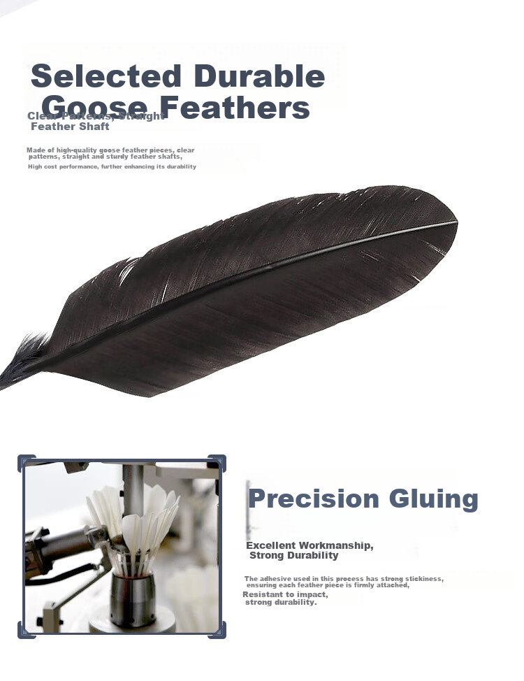 Amusi Badminton Shuttlecocks, Durable, Black Goose Feather, for Competition And Training, 1 Tube of 12 4