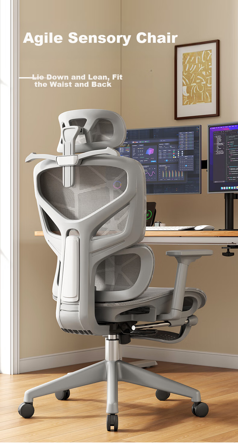 Sanxing SX-1897 Ergonomic Office Chair with Dual Backrest, Computer Chair, Ergonomic Gaming Chair, Dragon Pattern Mesh, Gray 1