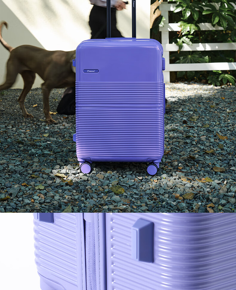 Diplomat Large Capacity Luggage Suitcase Thickened Password Lock TC-2621 Lilac Purple 28 Inch 7