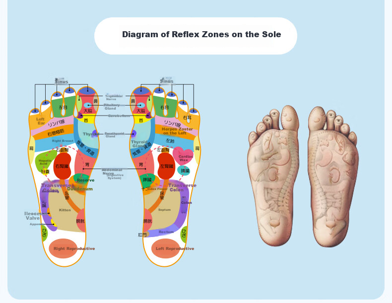 Oufanda Pressure Plate, Ultra-Slow Running Mat, Foot Massage Pad, Meridian Dredging, Adult In-Place Running Mat, Toe Massage Pad 4
