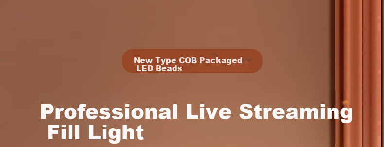 JIMANTU 150W Professional COB Photography Light Indoor Studio Live Streaming Spherical Deep Parabolic Softbox Video Shooting Sunlight 1