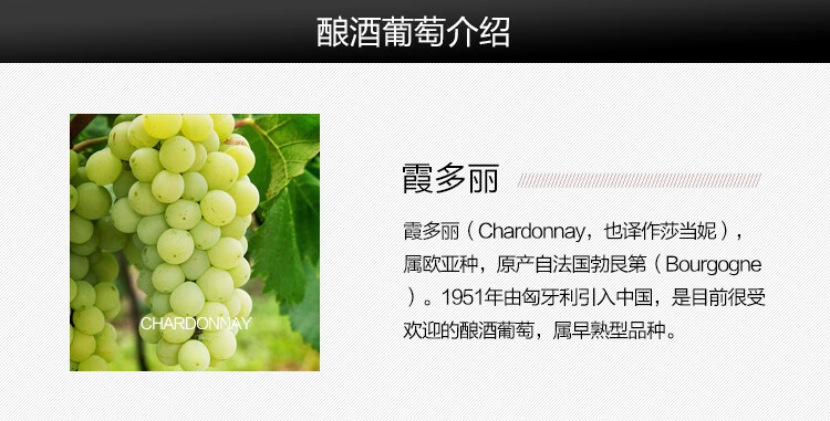 杰卡斯-酿酒师-霞多丽干白-1支_05.jpg