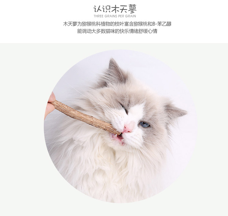 木天蓼洁齿棒_04.jpg