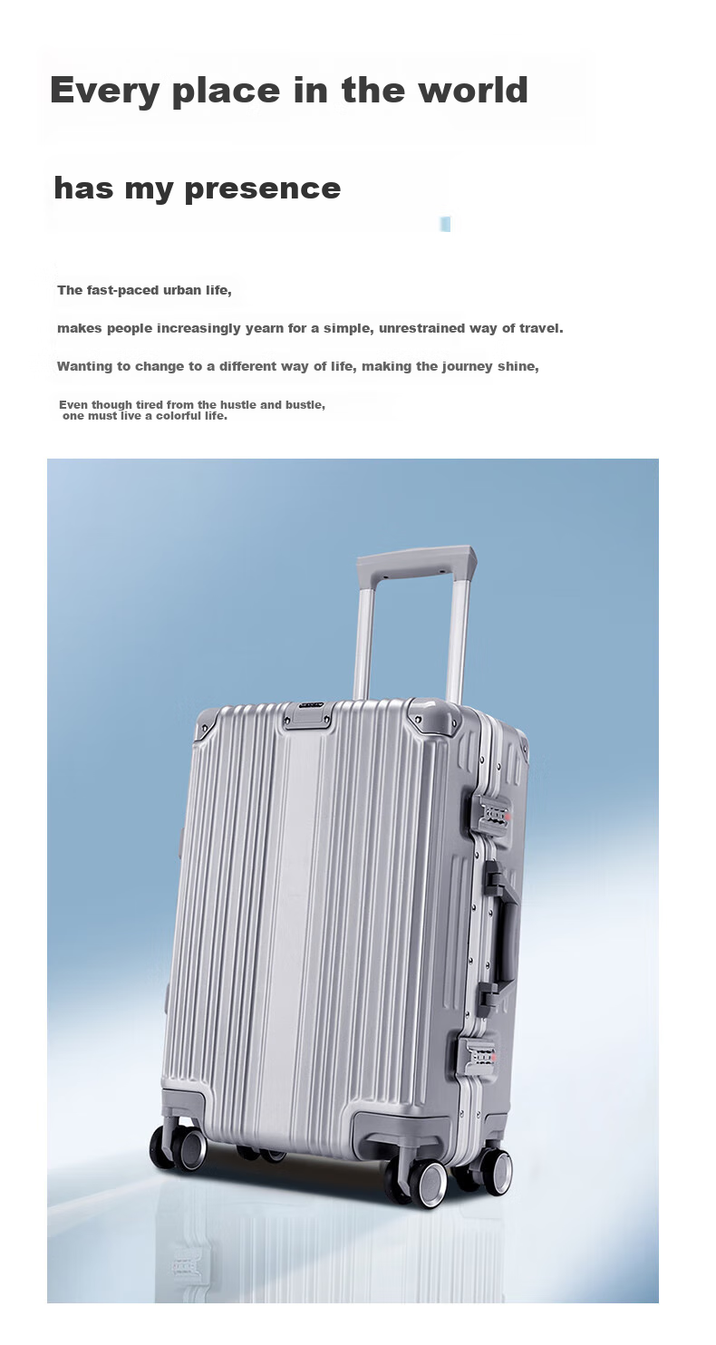 MEXICAN Aluminum Frame Suitcase, Unisex 24-Inch Trolley Case with Password Lock, Travel Luggage for Business Trips, Leather Suitcase, Check-In Luggage, Silver Color 1