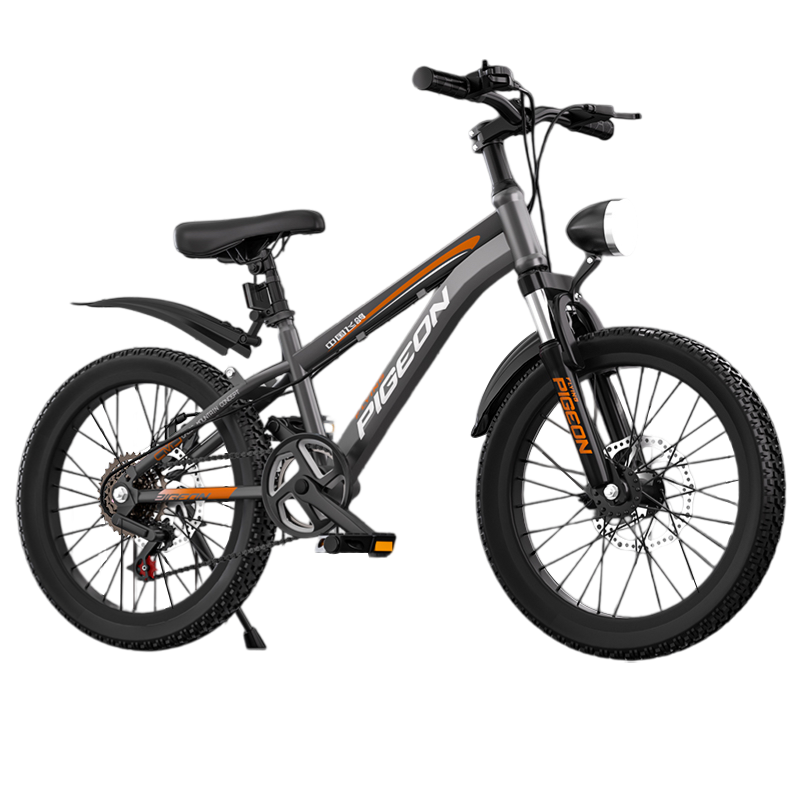 FG FLYING PIGEON Children's Bicycle for Ages 6-12 Youth Bike, Boys' Student Racing Mountain Bike, Gray, 22-Inch, Variable Speed, Spoke