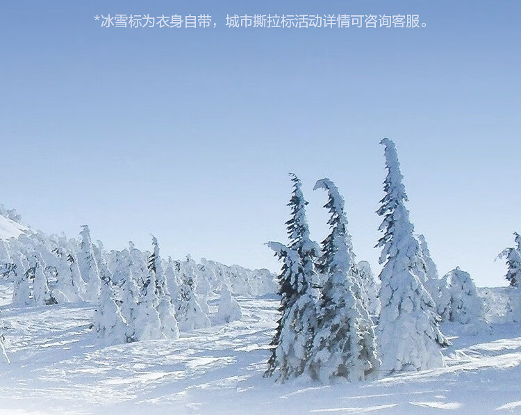 BOSIDENG 25th Anniversary Down Jacket Ice and Snow Sports Series Short Hooded 90% Down Thickened Student Puffer Coat 5