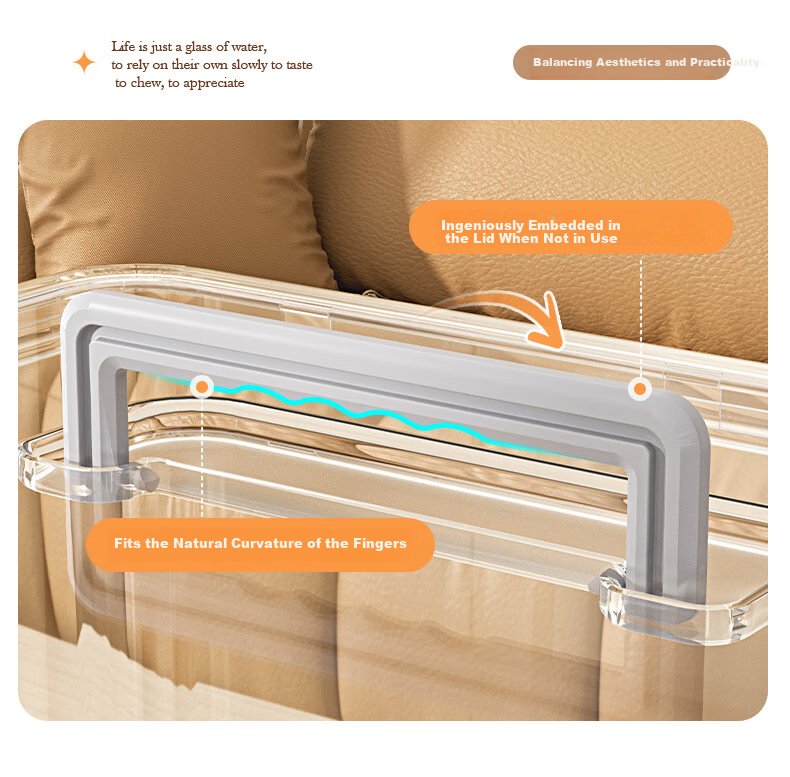 Baicaoyuan Transparent Storage Box with Handle, Thickened Plastic Organizer for Clothes, Toys, Snacks And Books, XL Size 6